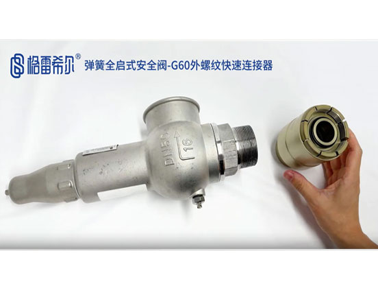 弹簧全启式安全阀-G60外螺纹快速连接器